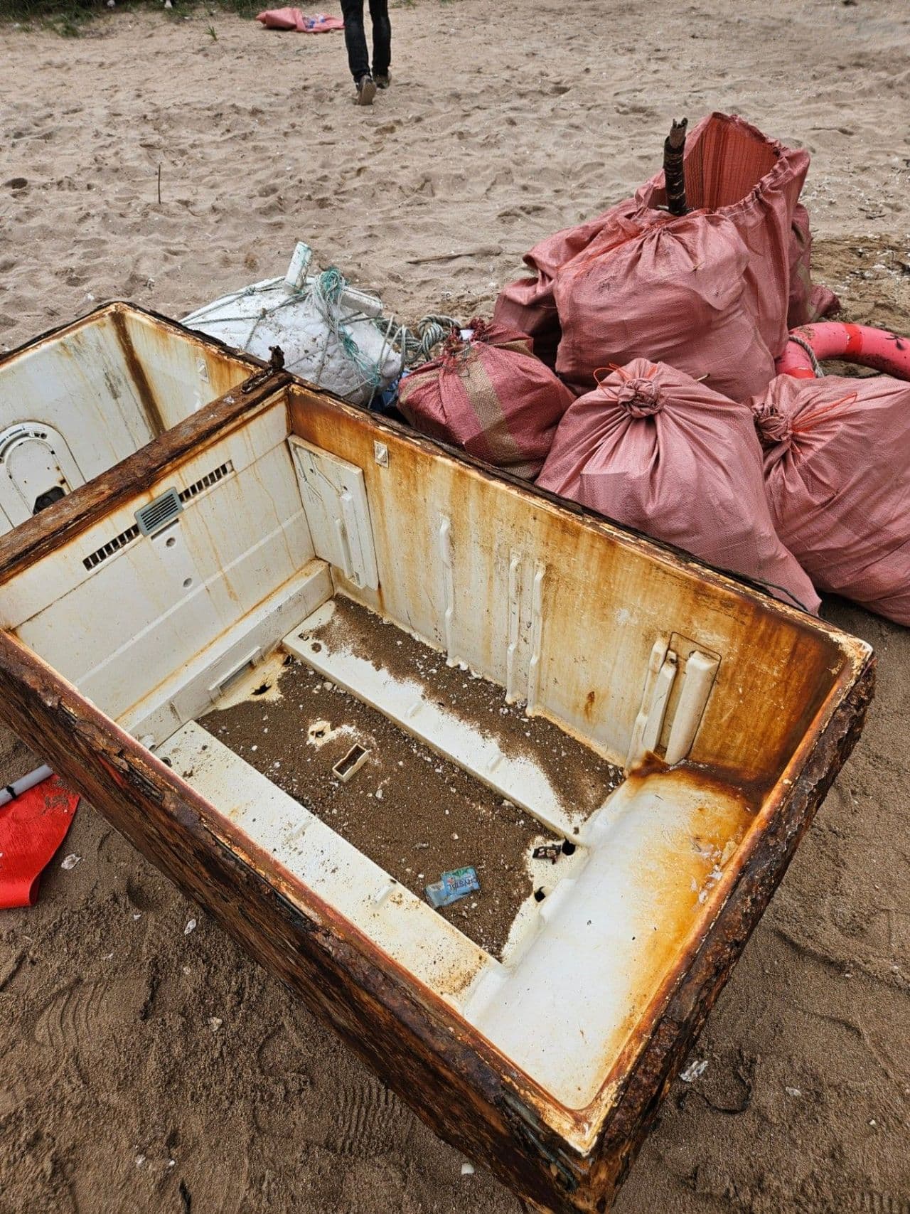 태풍 후 해변 쓰레기