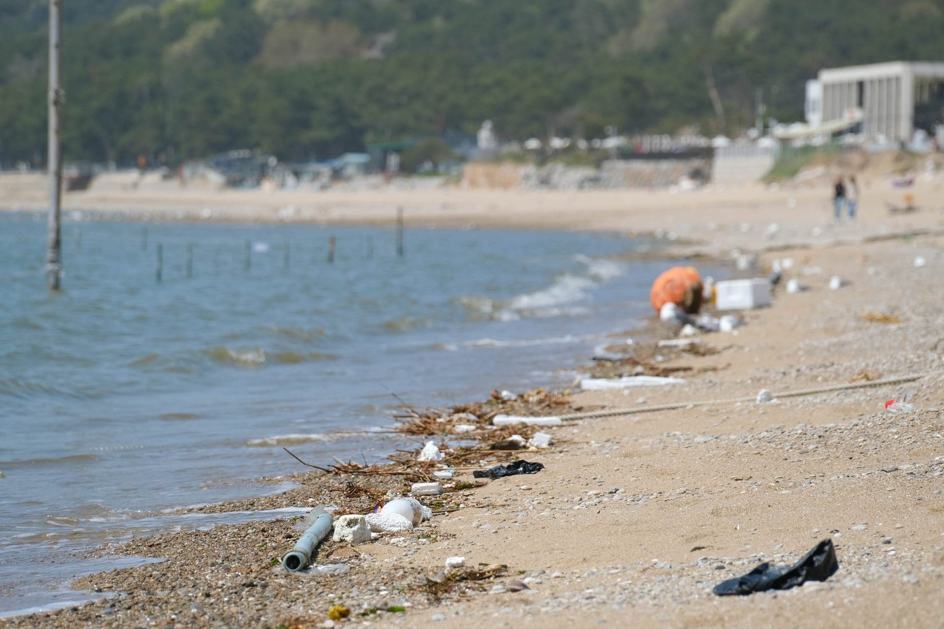 해안 환경 정화 활동